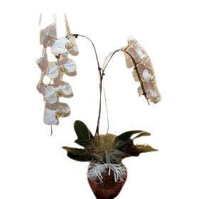 Arranjo de no vaso de vidro Orquídeas Cascatas